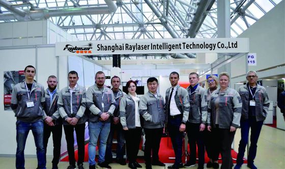 Высокая производительность 3000-30000W Gantry Cnc Fiber Laser Cutting Machine для большого формата